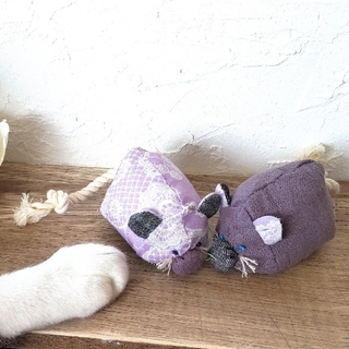 N01. 猫と遊ぼう　猫のおもちゃ　2個セット(おもちゃ/ペット小物)