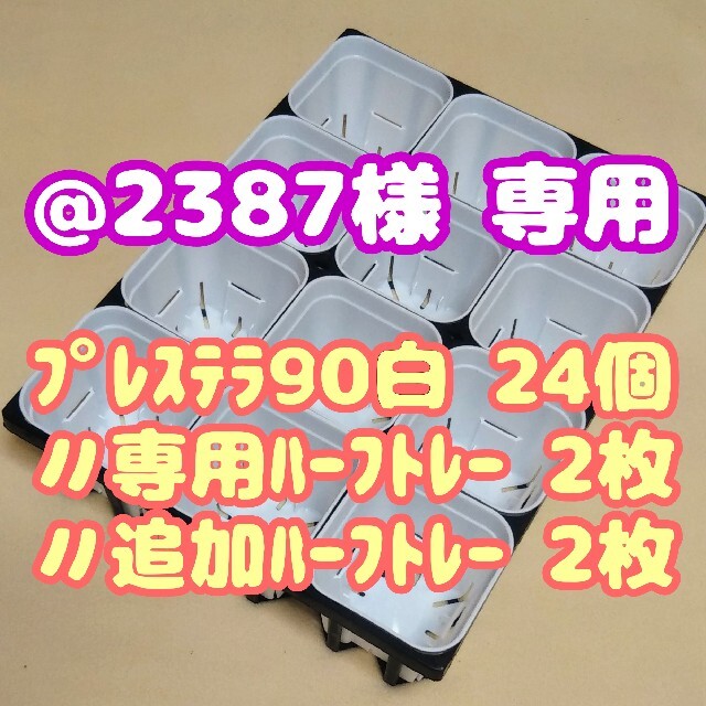 【スリット鉢】プレステラ90白24個＋専用システムトレー：ハーフ4枚プラ鉢多肉 ハンドメイドのフラワー/ガーデン(プランター)の商品写真