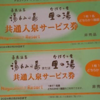 湯あみの島かなばなの里　里の湯　入泉サービス券　2枚(遊園地/テーマパーク)