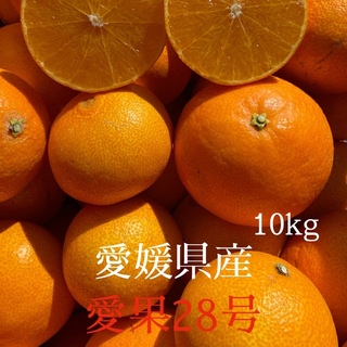 愛媛県産　愛果28号 (紅まどんなと同一品種) 10kg(フルーツ)