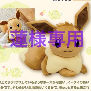 ポケモン(ポケモン)のポケモン 一番くじ ピカチュウとイーブイのぬいぐるみ(ぬいぐるみ)