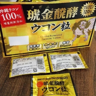 ウコン ウコンの力 ウコン粒 個包装 10袋セット 送料無料 忘年会(日本酒)