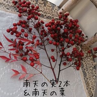 南天の実と南天の葉　ドライフラワー　クリスマス正月花材　インテリア(ドライフラワー)