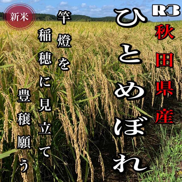 農家直送！令和3年 秋田県産【ひとめぼれ】玄米20kg 減農薬〈新米〉一等米。