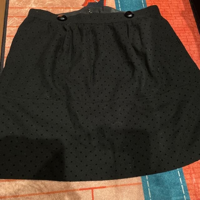 JILLSTUART(ジルスチュアート)のjillstuartミニスカート0サイズ レディースのスカート(ミニスカート)の商品写真