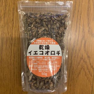 乾燥イエコオロギ(爬虫類/両生類用品)