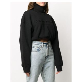 アレキサンダーワン(Alexander Wang)のアレキサンダーワン　クロップド　モックネック　プルオーバー　スウェット　トップス(トレーナー/スウェット)