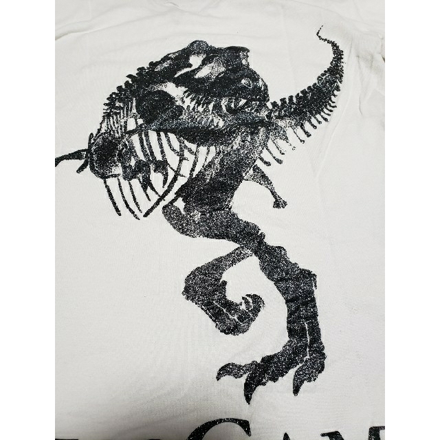 DRESSCAMP(ドレスキャンプ)のドレスキャンプ　t-rex t-シャツ メンズのトップス(Tシャツ/カットソー(七分/長袖))の商品写真