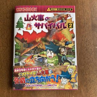 専用山火事のサバイバル(その他)