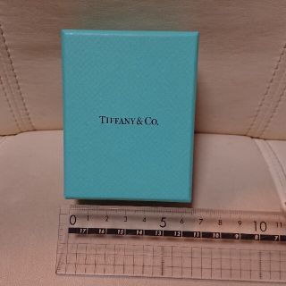 ティファニー(Tiffany & Co.)のTIFFANY ピアスケース(その他)