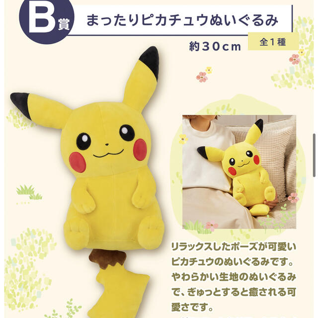 ポケモン1番くじ　ぬいぐるみ2つセット