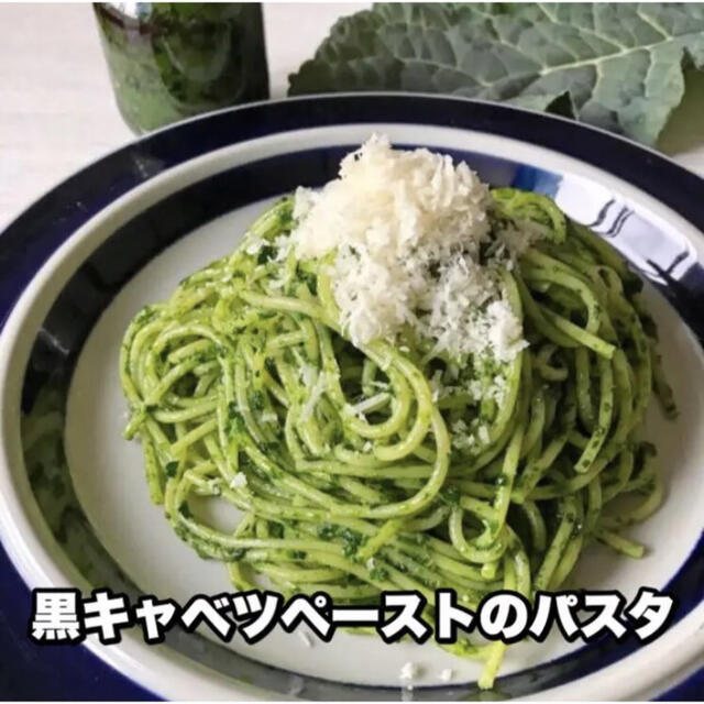 珍しい緑黄色野菜⑅◡̈* カーボログランリーフ　黒キャベツ　無農薬　珍しい野菜 食品/飲料/酒の食品(野菜)の商品写真