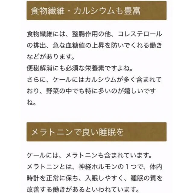 珍しい緑黄色野菜⑅◡̈* カーボログランリーフ　黒キャベツ　無農薬　珍しい野菜 食品/飲料/酒の食品(野菜)の商品写真