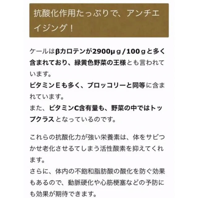 珍しい緑黄色野菜⑅◡̈* カーボログランリーフ　黒キャベツ　無農薬　珍しい野菜 食品/飲料/酒の食品(野菜)の商品写真