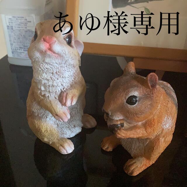 あゆ様専用ページの通販 by るぅるぅ's shop|ラクマ