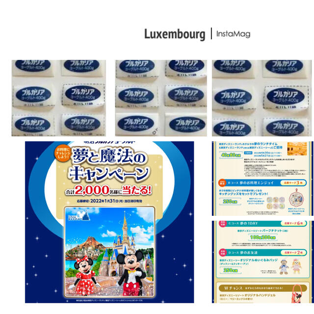 超人気高品質 ディズニーシー 2枚セット アーリーエントリー 1 13 遊園地 テーマパーク Labelians Fr