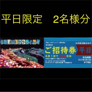 伊豆高原　グランイルミ　ご招待券　【平日2名様分】(遊園地/テーマパーク)