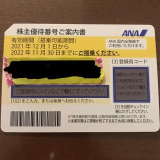 エーエヌエー(ゼンニッポンクウユ)(ANA(全日本空輸))のANA 国内線優待券　2021年12/1〜2022年11/30(その他)