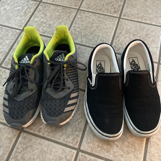 adidas(アディダス)の24㎝スニーカー2足セット　adidas &vans  キッズ/ベビー/マタニティのキッズ靴/シューズ(15cm~)(スニーカー)の商品写真