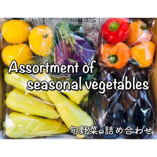 採りたて新鮮野菜 ٩(๑˃̶͈̀ ᗨ ˂̶͈́)۶  旬野菜の詰め合わせ　無農薬(野菜)