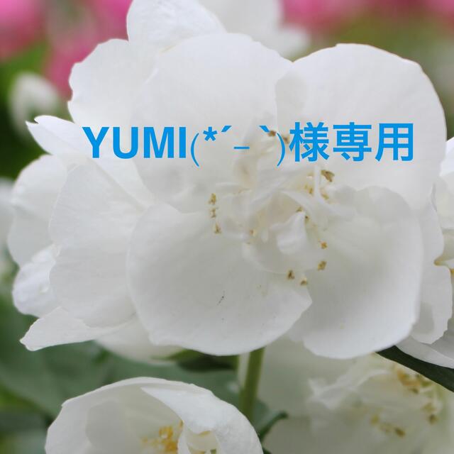 YUMI(*´- `)様専用ページ レビュー高評価の商品！ ogv-angelburg.de