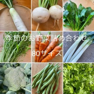 季節のお野菜詰め合わせ 無農薬 愛媛県産 80サイズ (野菜)