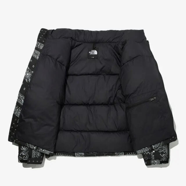 THE NORTH FACE(ザノースフェイス)のノースフェイス 海外ヌプシ バンダナ ペイズリー 1996 NUPTSE メンズのジャケット/アウター(ダウンジャケット)の商品写真