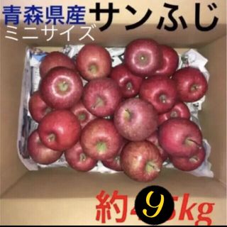 産地直送　サンふじ　青森県産　りんご　訳あり(フルーツ)