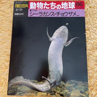 アサヒシンブンシュッパン(朝日新聞出版)の週刊　朝日百科　動物たちの地球86(その他)