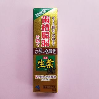 コバヤシセイヤク(小林製薬)の生葉ex 生葉EX 10 g(歯磨き粉)