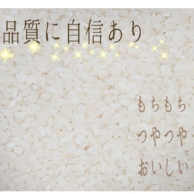 2023人気SALE みち様専用 お米 岩手産ひとめぼれ 30kg 精米済 白米の通販 by ☆☆☆お米マイスターのいるお店｜ラクマ