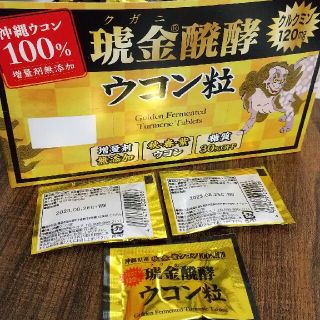 ウコン ウコンの力 ウコン粒 個包装 10袋セット 送料無料 サプリメント (ビタミン)