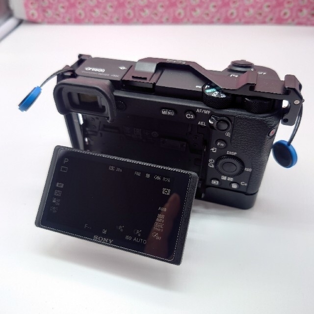 カメラSONY ソニー α6600 ボディ ストラップ 元箱 バッテリー1個 充電器付