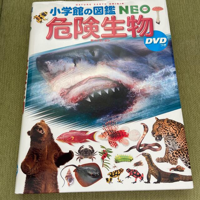 【春太郎さま専用】危険生物 ＤＶＤつき　小学館　図鑑　Neo ネオ エンタメ/ホビーの本(絵本/児童書)の商品写真