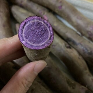 大人気　茨城県産　稀少なふくむらさきいも　紫芋　1kg 送料無料(野菜)