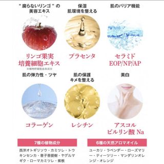FLOSCA炭酸パック VALUE SIZE(1ヶ月分/約25回分) ×1箱