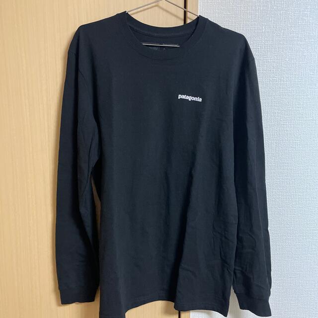 patagonia(パタゴニア)のパタゴニア　Tシャツ　M レギュラーフィット メンズのトップス(Tシャツ/カットソー(七分/長袖))の商品写真