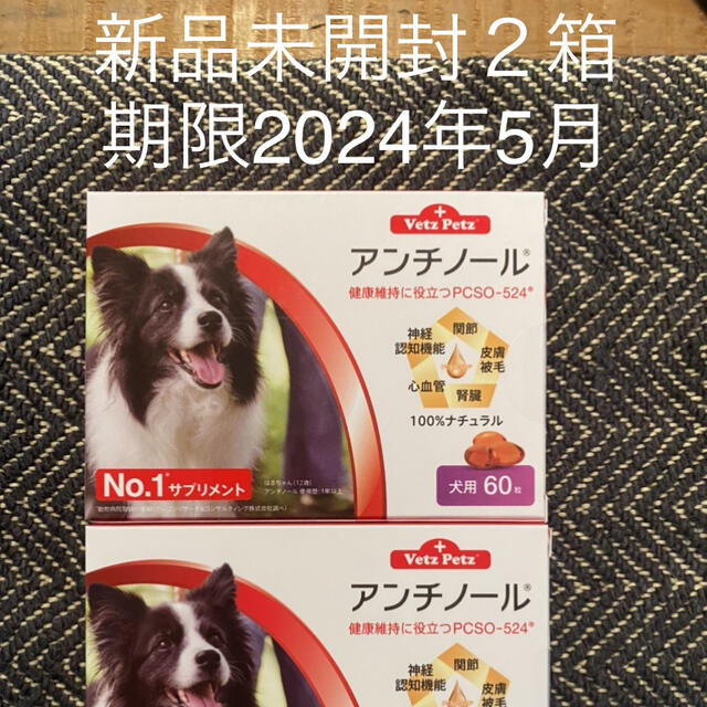 犬用アンチノール60粒入り新品未開封2箱 WYW0Nl92cZ