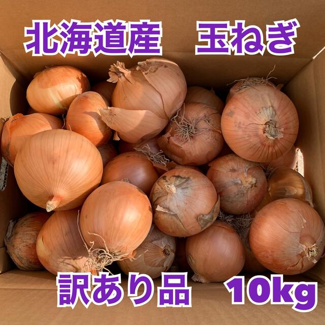 北海道産　玉ねぎ　訳あり品　10kg 食品/飲料/酒の食品(野菜)の商品写真