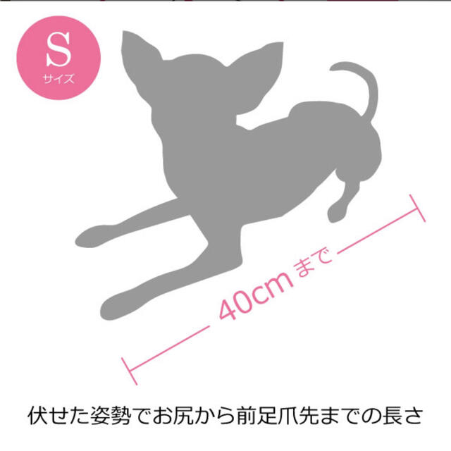 【正規品】ファンドル（FUNDLE）犬 猫 用 キャリーバッグ