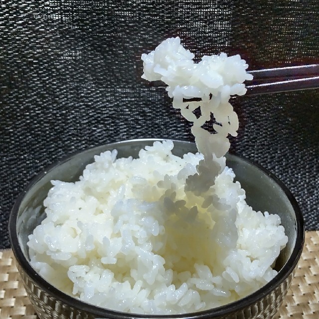お米　H30　愛媛県産コシヒカリ　白米　10㎏