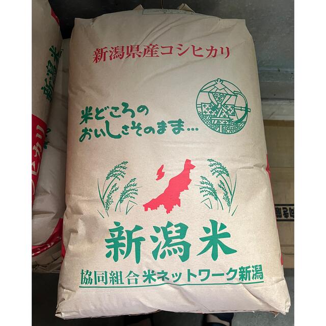 米/穀物　新潟県産コシヒカリ30kg令和2年（2020)　精米無料