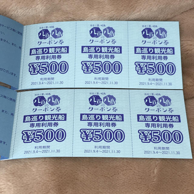 日本三景松島遊覧船仁王丸乗船チケット2名分（有効期限2021年11月30日） チケットの優待券/割引券(その他)の商品写真