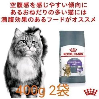 chihamura様専用‼️ ロイヤルカナン  おねだりの多い 400g×2個(猫)