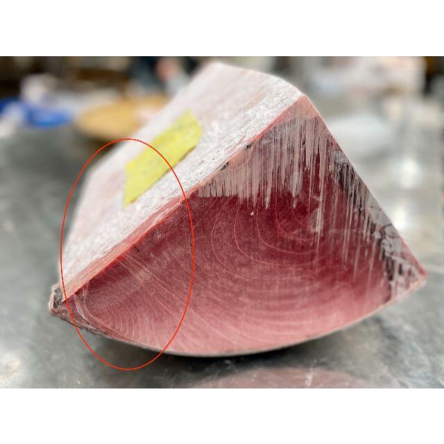 天然本マグロ中トロ《えんがわ》 たっぷり500g入り