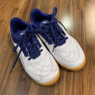 プーマ(PUMA)のPUMA プーマ　サッカーシューズ　室内　21㎝(スニーカー)