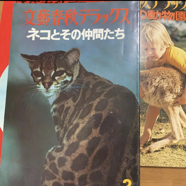 【希少】文藝春秋デラックス　世界の動物園、ネコとその仲間たち、イヌとネコ