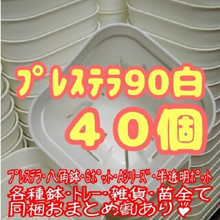 【スリット鉢】プレステラ90白40個 多肉植物 プラ鉢(プランター)