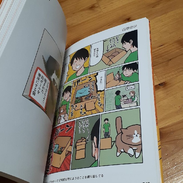 鴻池剛と猫のぽんたニャアアアン！ エンタメ/ホビーの漫画(その他)の商品写真