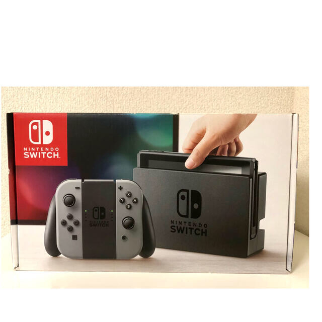 Nintendo Switch JOY-CON グレー 本体  HAC-S-KA